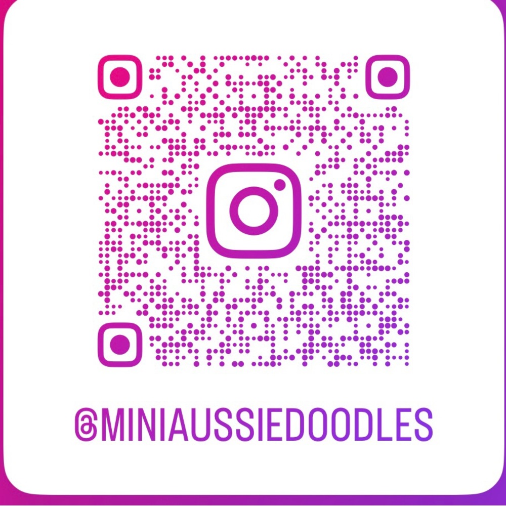 Follow Me on IG